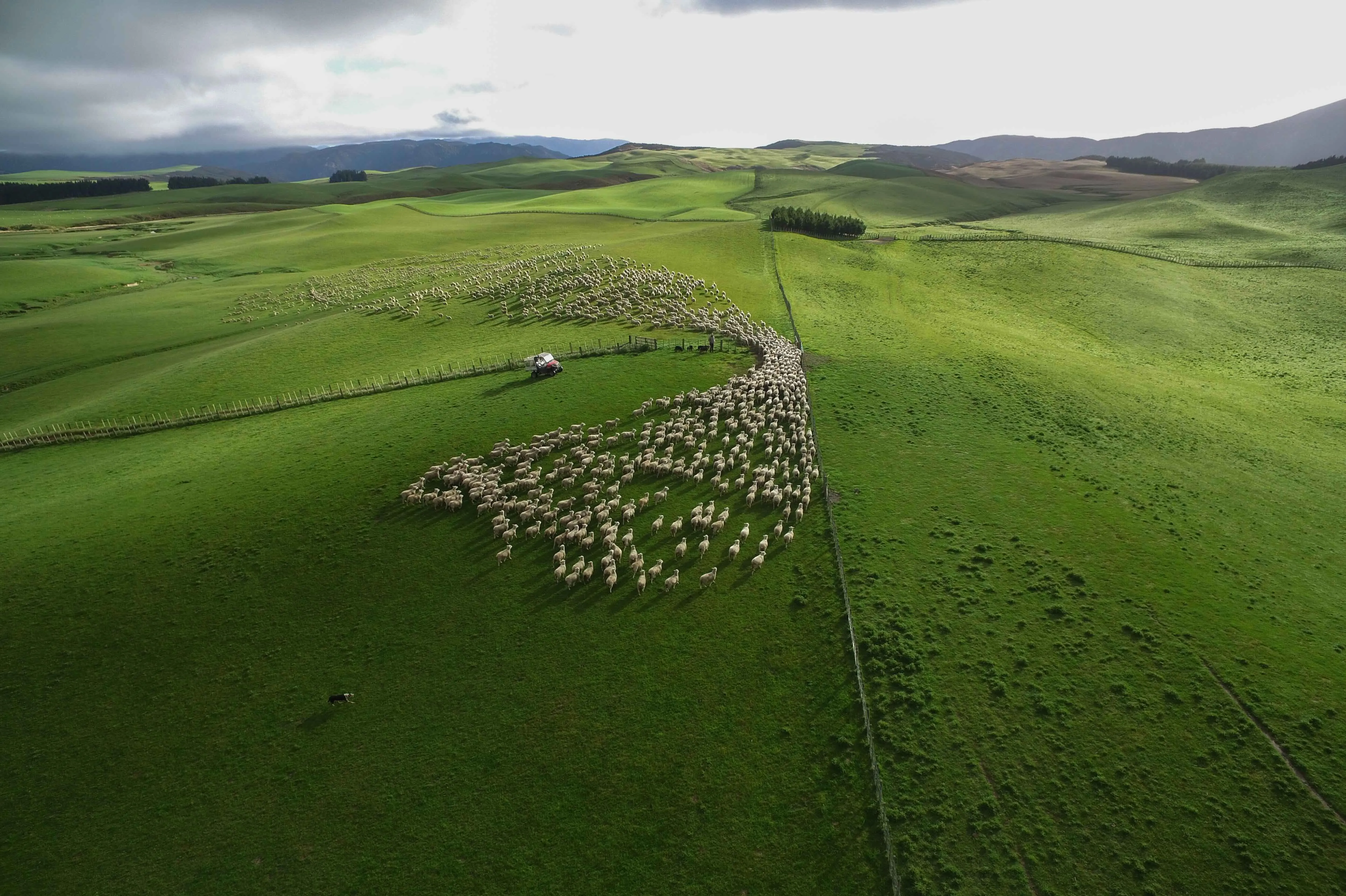 Photo: Beef + Lamb New Zealand